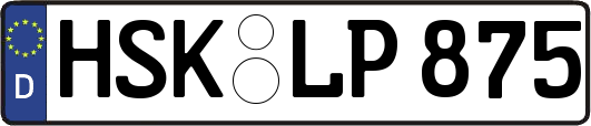 HSK-LP875