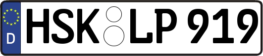 HSK-LP919