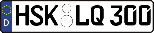 HSK-LQ300