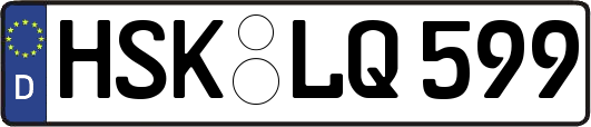 HSK-LQ599