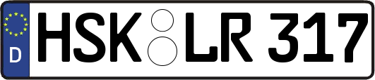 HSK-LR317
