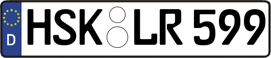 HSK-LR599