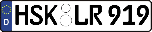 HSK-LR919