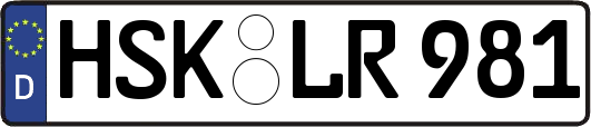 HSK-LR981