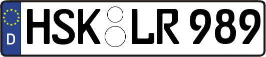 HSK-LR989