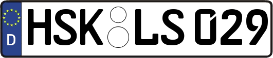 HSK-LS029