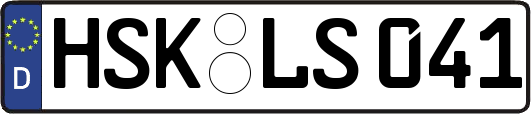 HSK-LS041