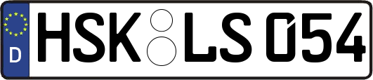 HSK-LS054