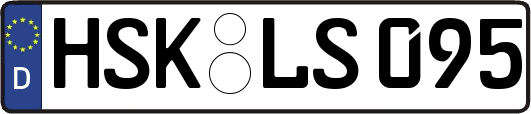 HSK-LS095