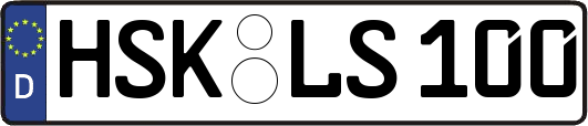 HSK-LS100