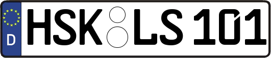 HSK-LS101