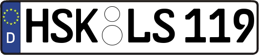 HSK-LS119