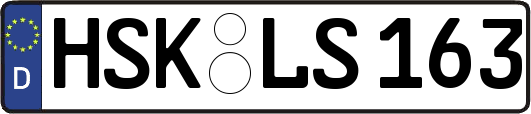 HSK-LS163