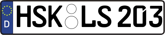 HSK-LS203