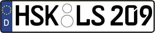 HSK-LS209