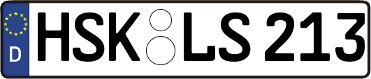 HSK-LS213
