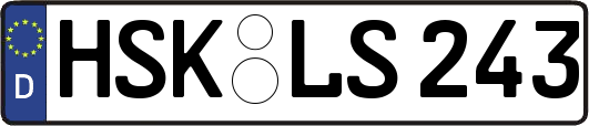 HSK-LS243