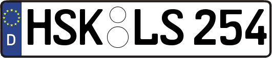 HSK-LS254