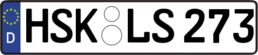 HSK-LS273