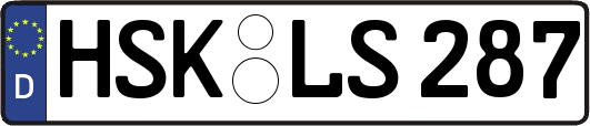 HSK-LS287