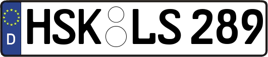 HSK-LS289