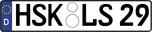 HSK-LS29