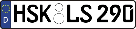 HSK-LS290