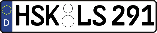 HSK-LS291