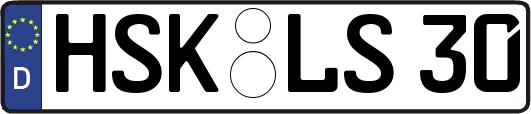 HSK-LS30