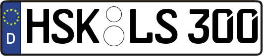 HSK-LS300