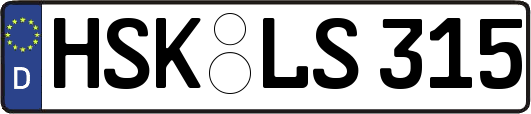 HSK-LS315