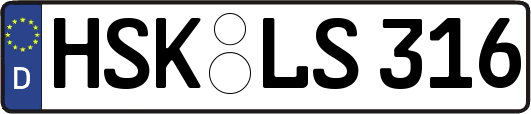 HSK-LS316