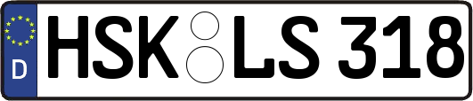 HSK-LS318