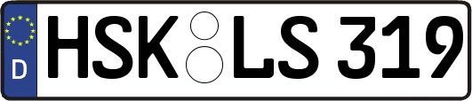 HSK-LS319
