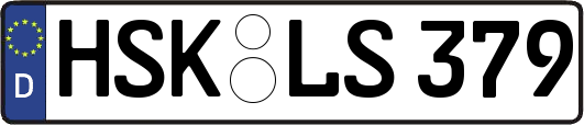 HSK-LS379