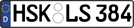 HSK-LS384