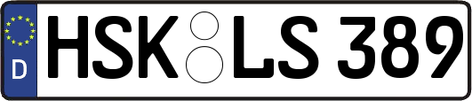 HSK-LS389