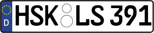 HSK-LS391