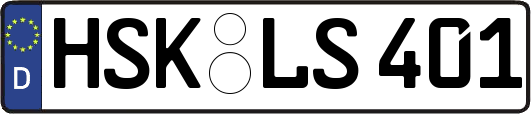 HSK-LS401