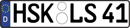 HSK-LS41