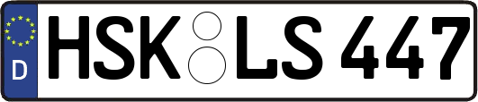 HSK-LS447
