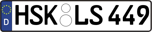 HSK-LS449