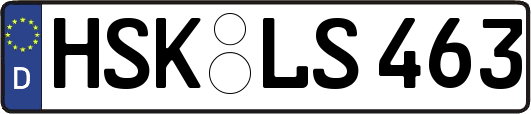 HSK-LS463