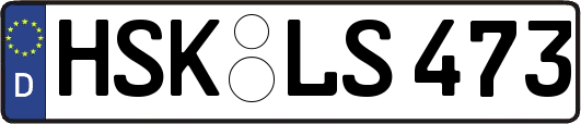 HSK-LS473