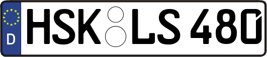 HSK-LS480