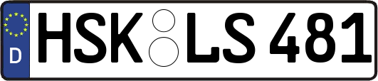 HSK-LS481