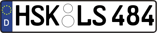 HSK-LS484