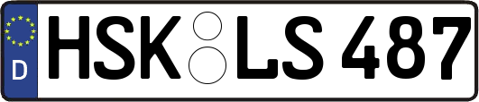 HSK-LS487