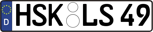 HSK-LS49