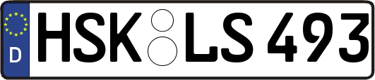 HSK-LS493